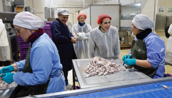 A Xunta pon en marcha un paquete de axudas hist&oacute;rico de m&aacute;is de 180 M&euro; para as empresas galegas