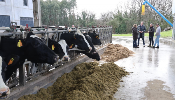 A Xunta apoia con m&aacute;is de 2 mill&oacute;ns de euros a 19 empresas de Lugo para a mellora de infraestruturas e equipamentos