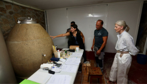 A Xunta mant&eacute;n aberta a li&ntilde;a de pr&eacute;stamos de 2 M&euro; para facilitar &aacute;s adegas galegas a compra de uva nesta campa&ntilde;a