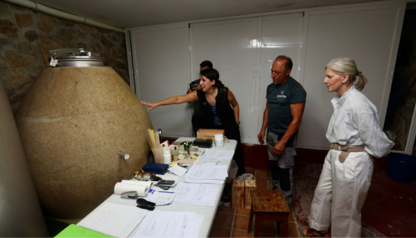A Xunta mant&eacute;n aberta a li&ntilde;a de pr&eacute;stamos de 2 M&euro; para facilitar &aacute;s adegas galegas a compra de uva nesta campa&ntilde;a