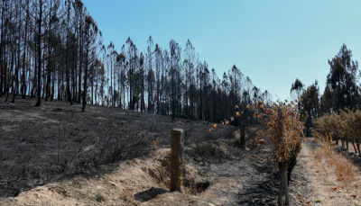 Rueda destaca que la Xunta ya concedió 42 ayudas por un importe de 2,9 M€ para propietarios de las viviendas afectadas por la ola de incendios del verano